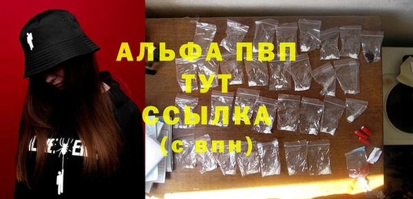 стафф Алексин