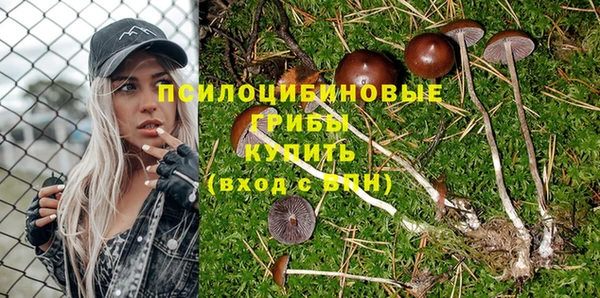 прущий лед Алексеевка